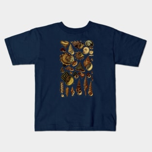 Antique Scientific Marine Biology Sea Shells Kids T-Shirt